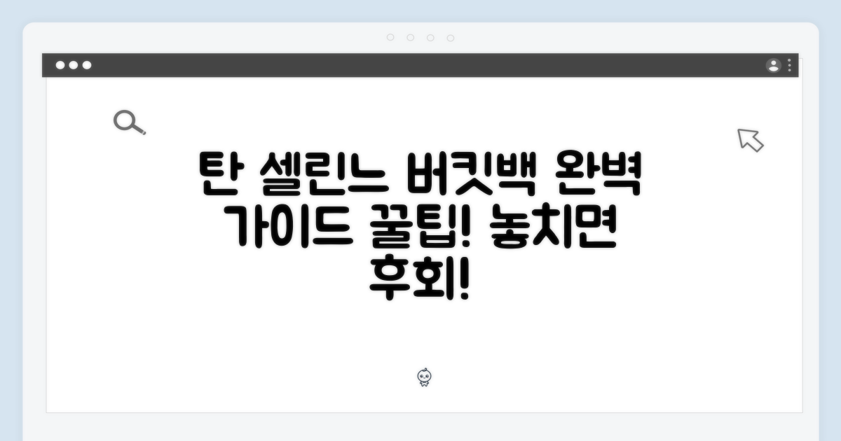 탄 셀린느 버킷백 완벽 가이드
