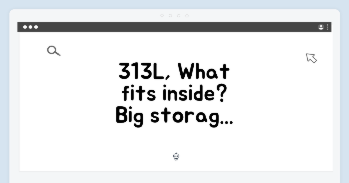 313L, 얼마나 담을 수 있을까?